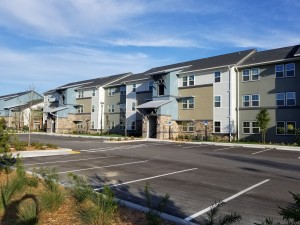Hammock Ridge
